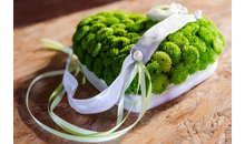 Kundenbild groß 3 Wimmer Simone