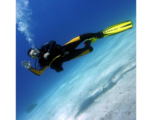 Kundenfoto 6 Friendly Divers GbR Tauchschule