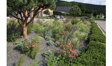 Kundenbild groß 4 POHL GARTEN- UND LANDSCHAFTSBAU