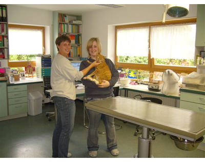 Kundenfoto 4 Sonnewald-Daum Michaela Dr.med.vet. Praktische Tierärztin