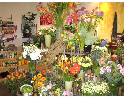 Kundenfoto 5 Blumen Irmis Blumenhain Inh. Irmgard Wagner