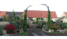 Kundenbild groß 4 Schramm Roland Dipl.-Ing. (FH) Gartenbau GRUEN & MEHR u. Planungsbüro f. Freianlagen