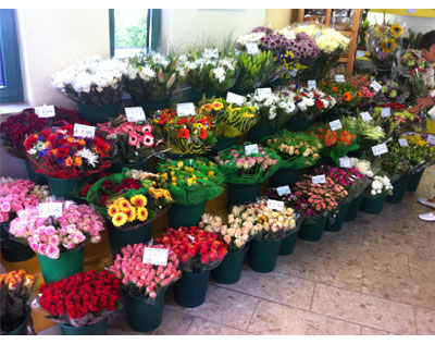 Kundenfoto 6 Holland Blumen Shops