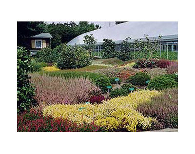 Kundenfoto 1 Gartenbau Ernst Risse Inh. Reinhild Hellenberg