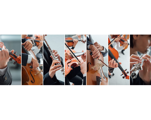Kundenfoto 2 Musikschule Rosenheim e.V.