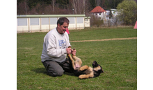 Kundenbild groß 1 Hundeschule Villa Vista Andrea Gilch