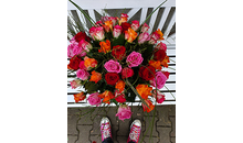 Kundenbild groß 4 Pusteblume Blumen & Geschenke Erlangen