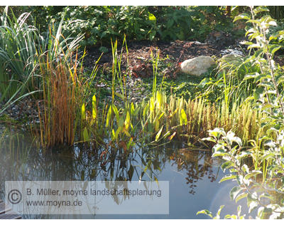 Kundenfoto 1 Brigitte Müller moyna landschaftsplanung