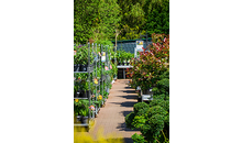 Kundenbild groß 9 Gartencenter Spiering GmbH