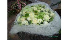 Kundenbild groß 9 Ritschel-Blumen-Floristik Inh. Ritschel Heike