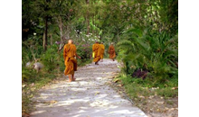 Kundenbild groß 6 Kung Thailändische Massagen