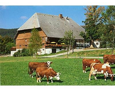 Kundenfoto 6 Gasthaus zum Hirschen