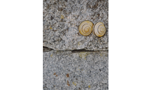 Kundenbild groß 1 Kirsten Hesse Praxis für Shiatsu