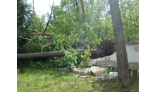 Kundenbild groß 7 Tharang André Baum-Haus-Service