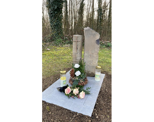 Kundenfoto 6 Gonnert Marco