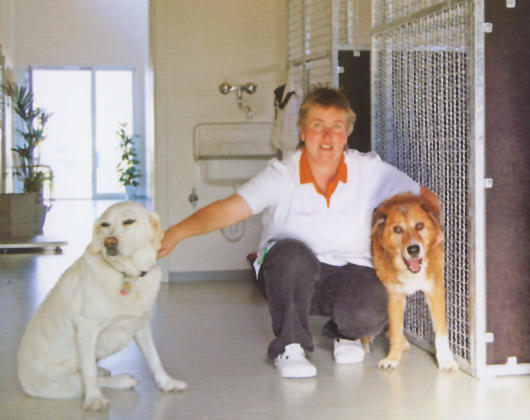 Kundenfoto 1 Krebs-Breuer Barbara Dr. Tierarztpraxis