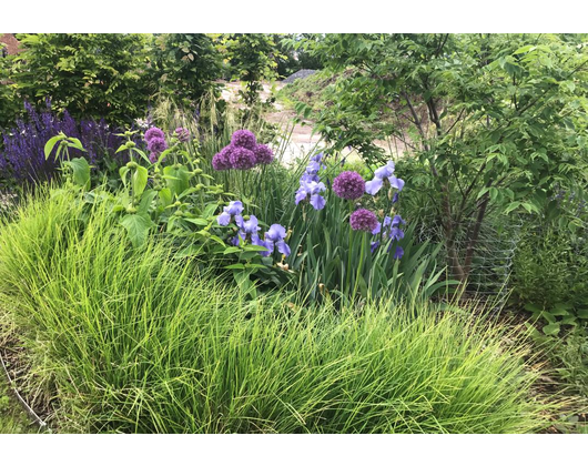 Kundenfoto 1 Gartengestaltung Nickerl