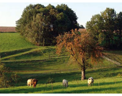 Kundenfoto 5 Stadtverwaltung Lugau