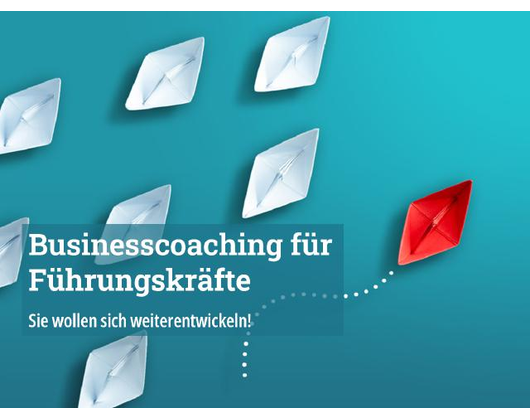 Kundenfoto 5 Rüden Veronika Von