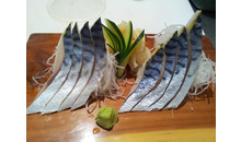 Kundenbild groß 4 Back Mi-Ri Sushi-Bar-Fujiyama
