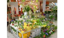 Kundenbild groß 1 Chemnitzer Blumenring Einzelhandelsgesellschaft mbH