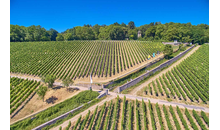 Kundenbild groß 8 Bürgerspital Weingut