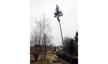 Kundenbild groß 8 Tharang André Baum-Haus-Service