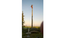 Kundenbild groß 1 Seitz Christoph Baumfällung