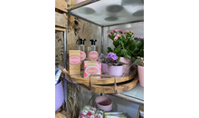 Kundenbild groß 2 Schöner Schenken Inh. Susanne Lother - Blumen und Geschenkartikel
