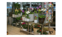 Kundenbild groß 7 Blumen ambiente & floristik Klotzsche