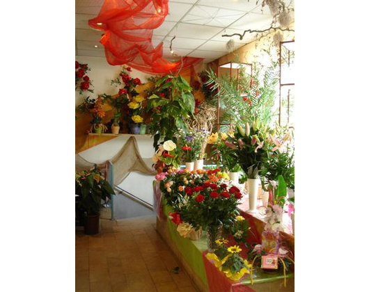 Kundenfoto 5 Blumenwelt Dech