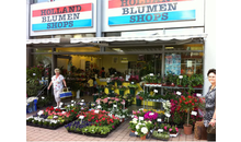 Kundenbild groß 1 Holland Blumen Shops