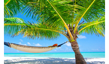 Kundenbild groß 2 Nix-wie-weg GmbH & Co. KG