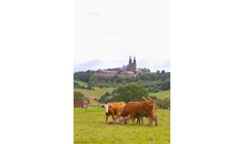 Kundenbild groß 10 Herzoglich Bayerisches Forstgut Banz