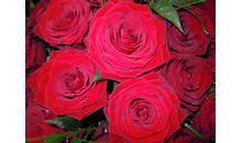 Kundenbild groß 2 Nadine's Blumentöpfle | Blumenladen in Ilsfeld & Umgebung