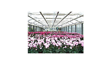 Kundenbild groß 8 Blumenpavillon Miller Gärtnerei