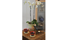 Kundenbild groß 26 Kirsten Hesse Praxis für Shiatsu