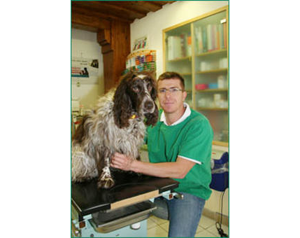 Kundenfoto 9 Tierarztpraxis Dr. Shay Soriano