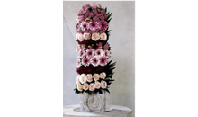 Kundenbild groß 3 Braungart u. Ebert Blumenecke