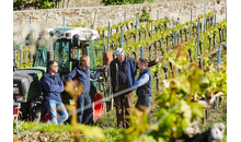 Kundenbild groß 7 Bürgerspital Weingut