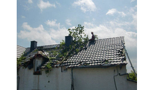 Kundenbild groß 2 Tharang André Baum-Haus-Service