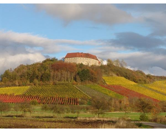 Kundenfoto 4 Düll Gasthof Schwarzer Adler