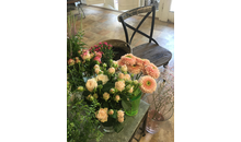 Kundenbild groß 2 Blumen Vulpius