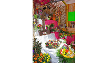 Kundenbild groß 3 Blumen & Gärtnerei Süberkrüb