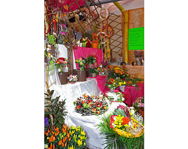Kundenfoto 3 Blumen & Gärtnerei Süberkrüb