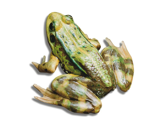 Kundenfoto 4 Gärten fürs Leben Opitz Cornelia