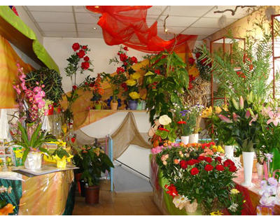 Kundenfoto 3 Blumenwelt Dech