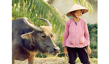 Kundenbild groß 3 Le Hong-Yen Vietnam Adventure Reisebüro