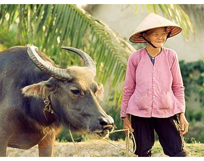 Kundenfoto 3 Le Hong-Yen Vietnam Adventure Reisebüro