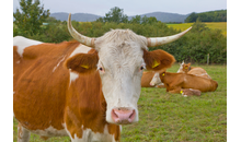 Kundenbild groß 9 Herzoglich Bayerisches Forstgut Banz